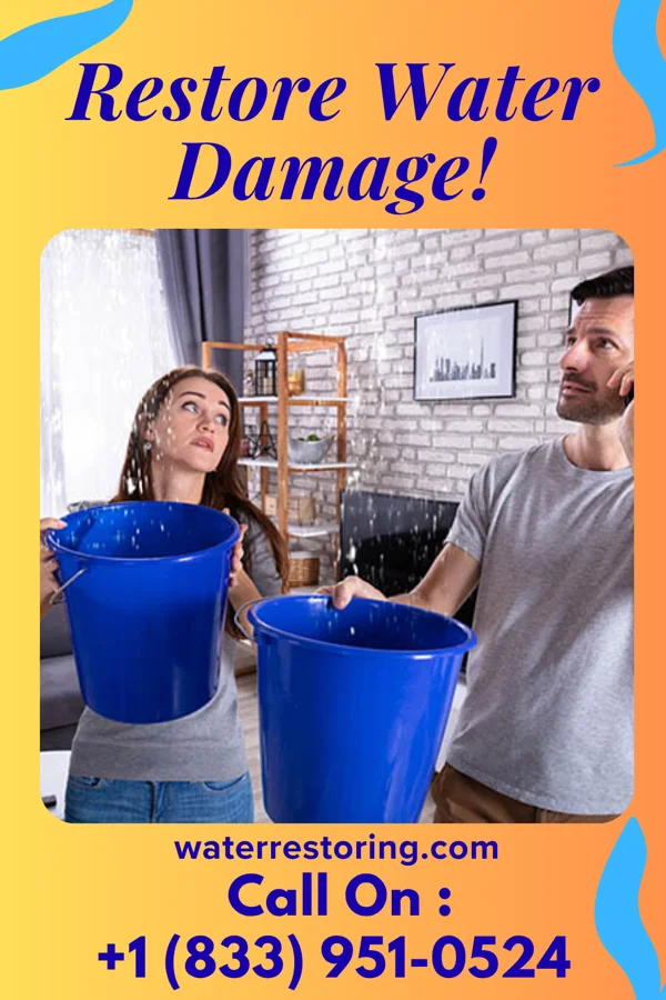 water restoration Crown Water Mitigation Group Galax