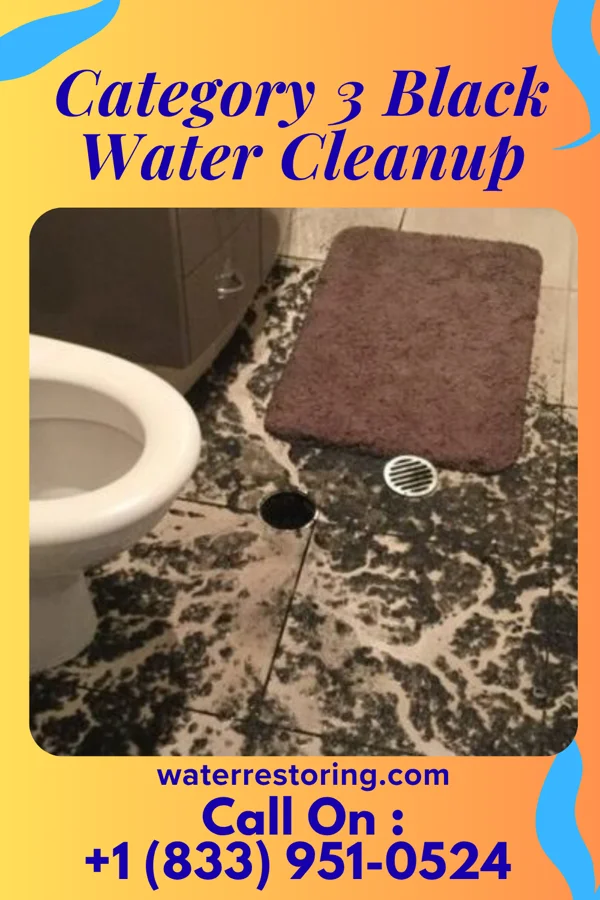 Category 3 Black Water Cleanup in Galax, VA