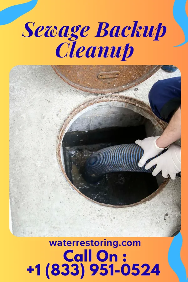 Sewage Backup Cleanup in Galax, VA