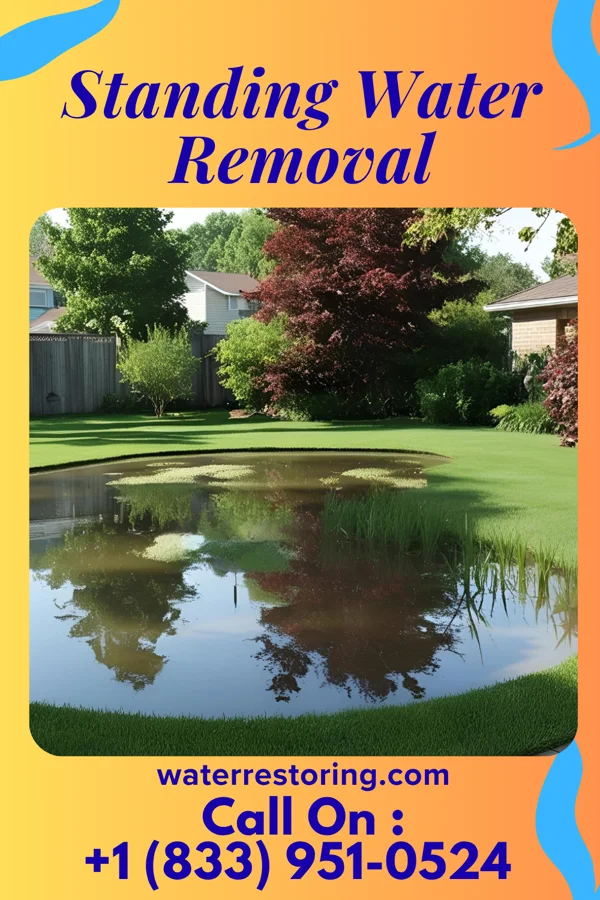 Standing Water Removal in Galax, VA